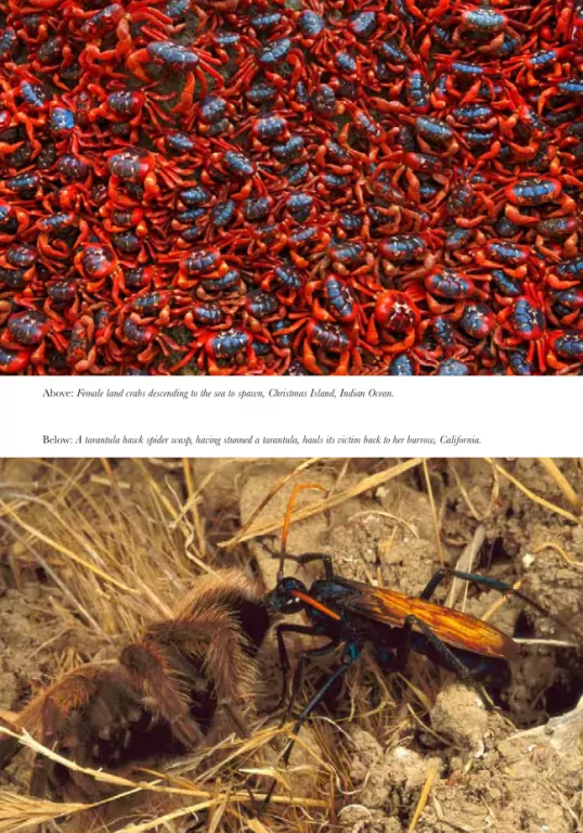 Na ścieżkach życia - tantis.pl