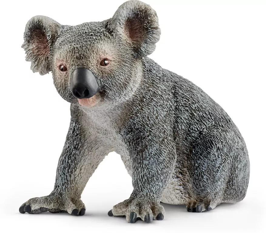Koala australijski 14815 - tantis.pl