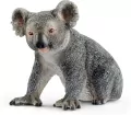 Koala australijski 14815 - tantis.pl