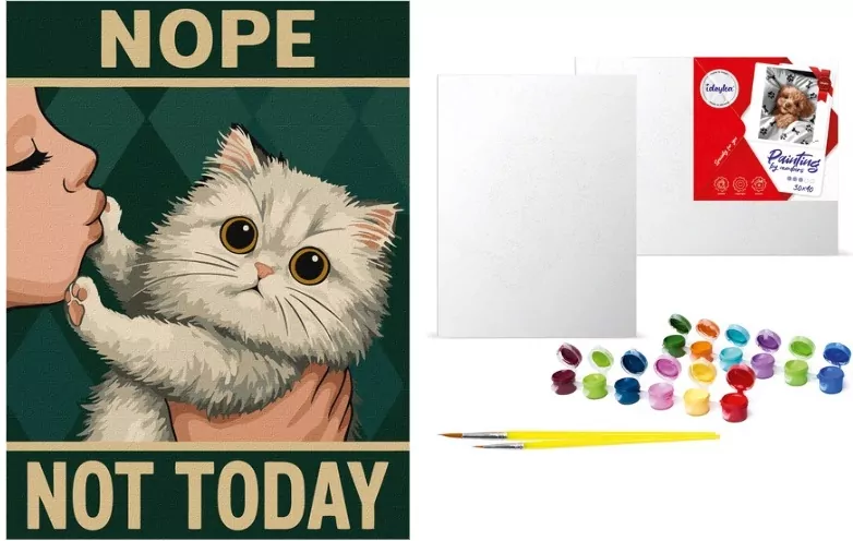Malowanie po numerach - Plakat. Nie dzisiaj 30x40 - tantis.pl