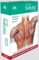 Mięśnie. Anatomia Sobotta Flashcards. Polskie mianownictwo anatomiczne - tantis.pl