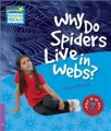 Why Do Spiders Live in Webs? - tantis.pl
