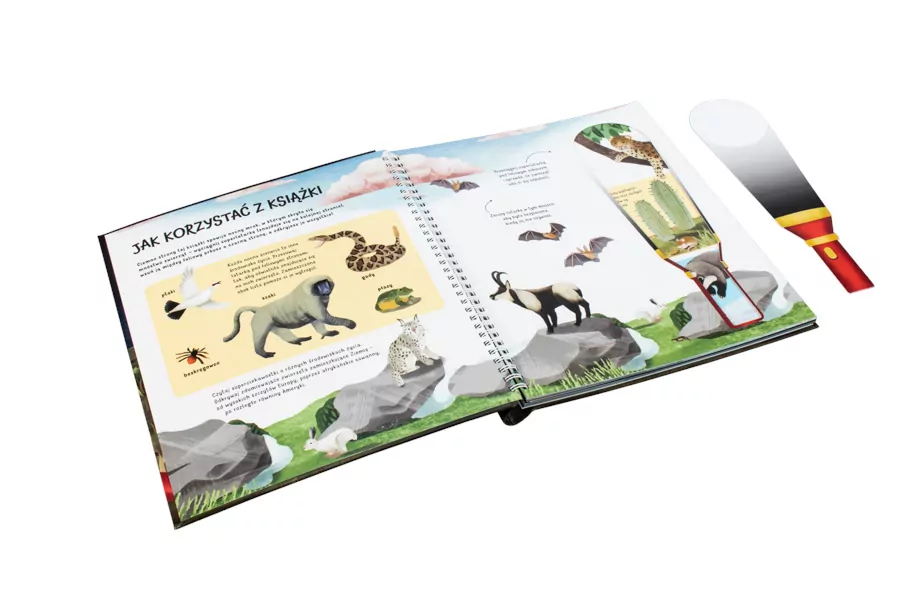 Zwierzęta nocą. Nocne safari z latarką w ręku - dla śmiałych odkrywców! - tantis.pl