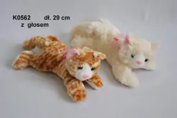 Kot z głosem leżący dwa kolory średni  082664