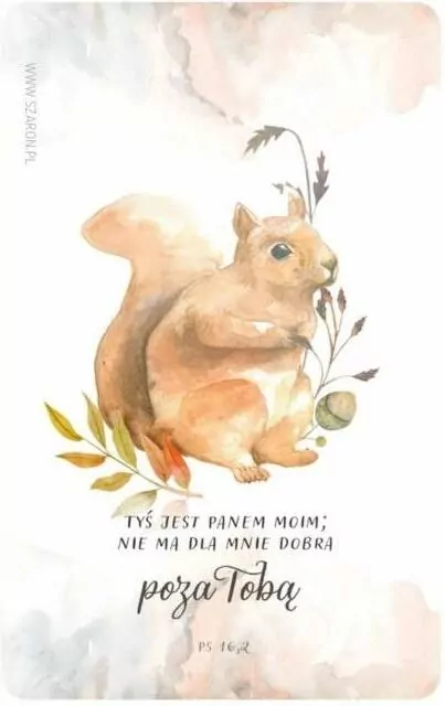 Magnes na lodówkę. Wiewiórka - tantis.pl