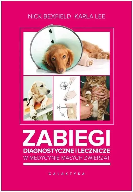 Zabiegi diagnostyczne i lecznicze w medycynie małych zwierząt - tantis.pl