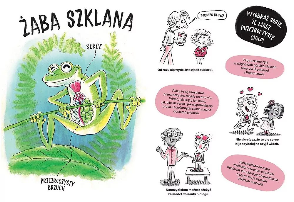 Zwierzaki cwaniaki. Akademia Mądrego Dziecka - tantis.pl