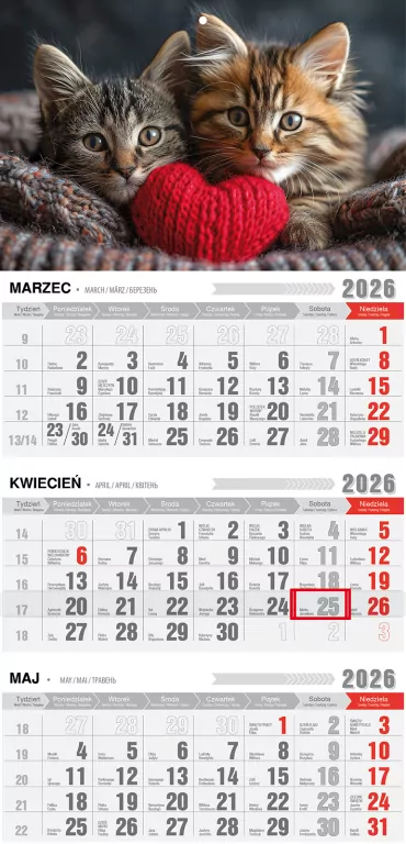 Kalendarz 2026 trójdzielny ekonomiczny kotki - tantis.pl
