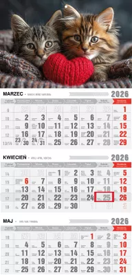 Kalendarz 2026 trójdzielny ekonomiczny kotki