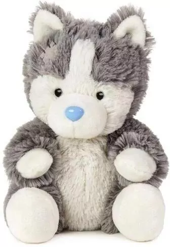 Przyjaciel niebieskiego noska - Piesek Husky North - tantis.pl