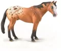 Koń Appaloosa wałach jasnobrązowy - tantis.pl