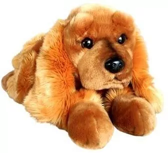 Pies Spaniel 62cm - tantis.pl