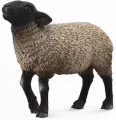 Owca suffolk M - tantis.pl