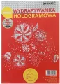 Wydrapywanka hologramowa A4 (10 arkuszy) srebrno-czerwona + 2 rylce - tantis.pl