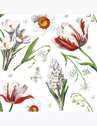 Serwetki DAISY Lunch SD 330x330 Kwiaty 010101 - tantis.pl