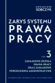 Zarys systemu prawa pracy T.3 Zakładowe źródła... - tantis.pl