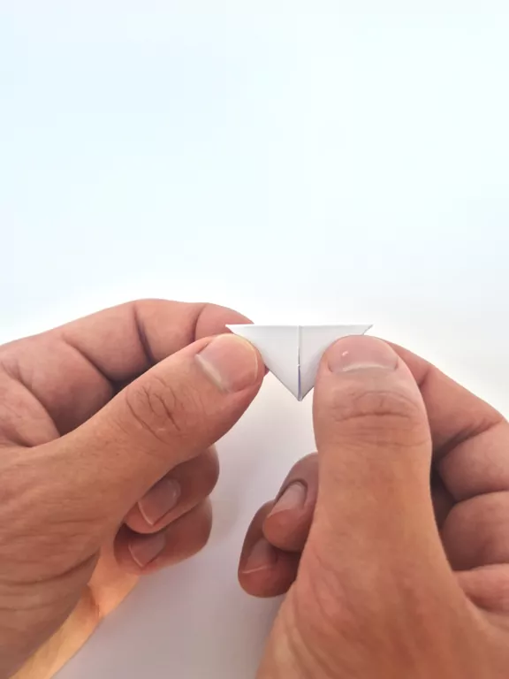 Origami 3D papuga/parrot - tantis.pl