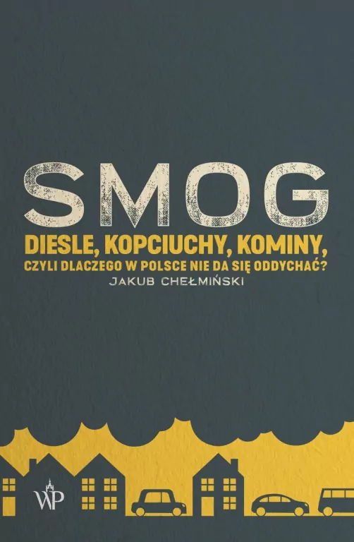 Smog. Diesle, kopciuchy, kominy, czyli dlaczego w Polsce nie da się oddychać? - tantis.pl