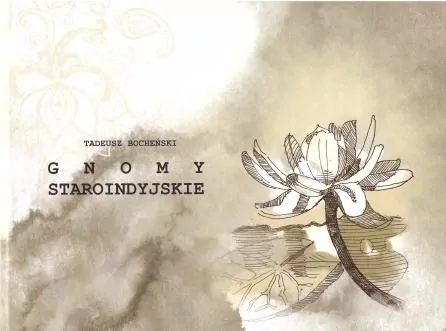 Gnomy Staroindyjskie - tantis.pl