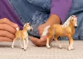 Klacz rasy Haflinger 13950 - tantis.pl
