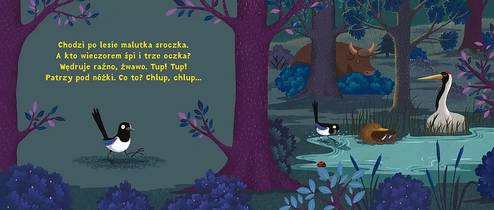 Rok w lesie. Zasypianka - tantis.pl