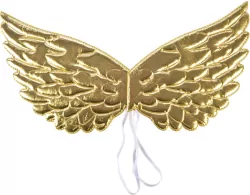 Skrzydła anioła