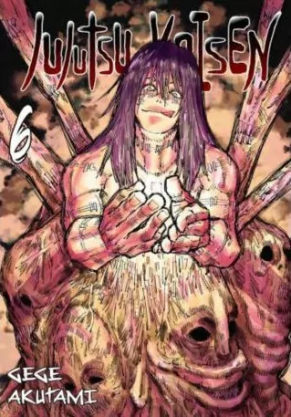 Jujutsu Kaisen. Tom 6 - tantis.pl