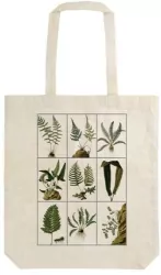 Torba bawełniana STBAG 22 Paprocie