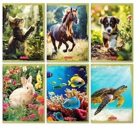 Zeszyt A5/16K linia podwójna Animals - tantis.pl