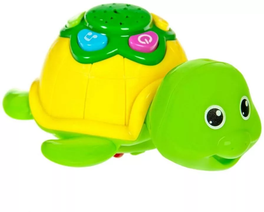 Zabawny żółw. Bam Bam - tantis.pl