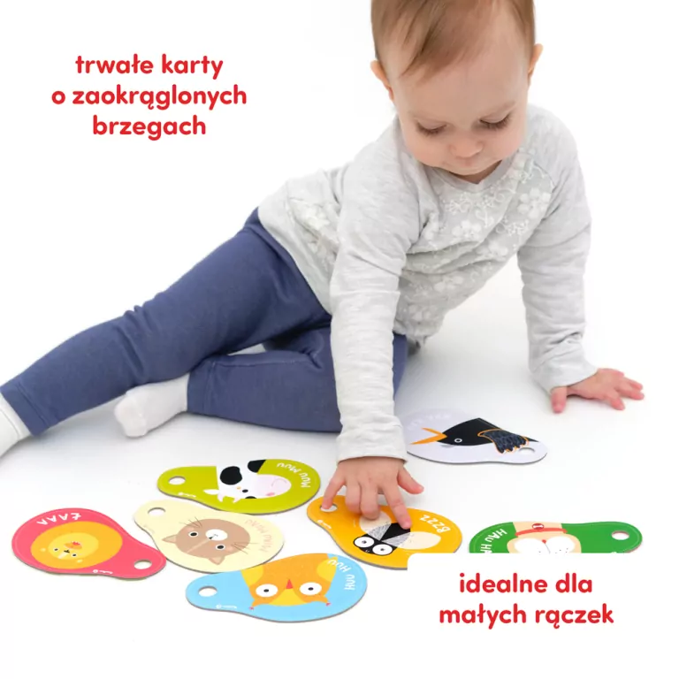 CzuCzu. Zwierzęta. Dźwięki - tantis.pl