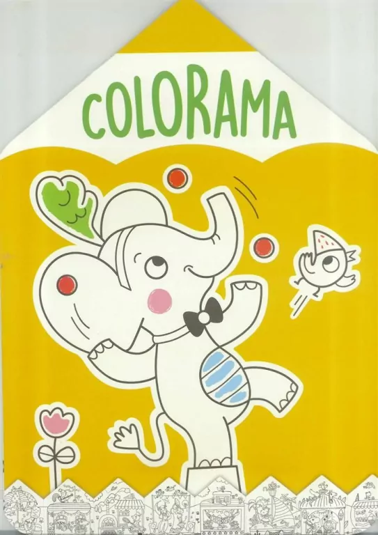 Colorama - Słonik - tantis.pl