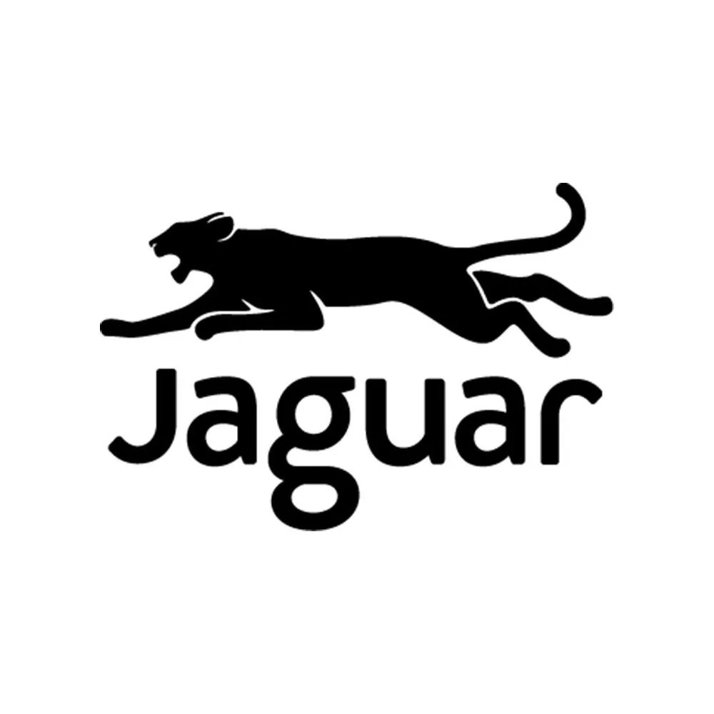 Wydawnictwo Jaguar