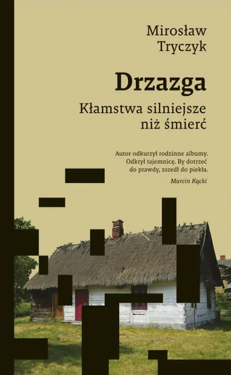 Drzazga. Kłamstwa silniejsze niż śmierć - tantis.pl