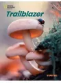 Trailblazer Starter Flashcards - tantis.pl