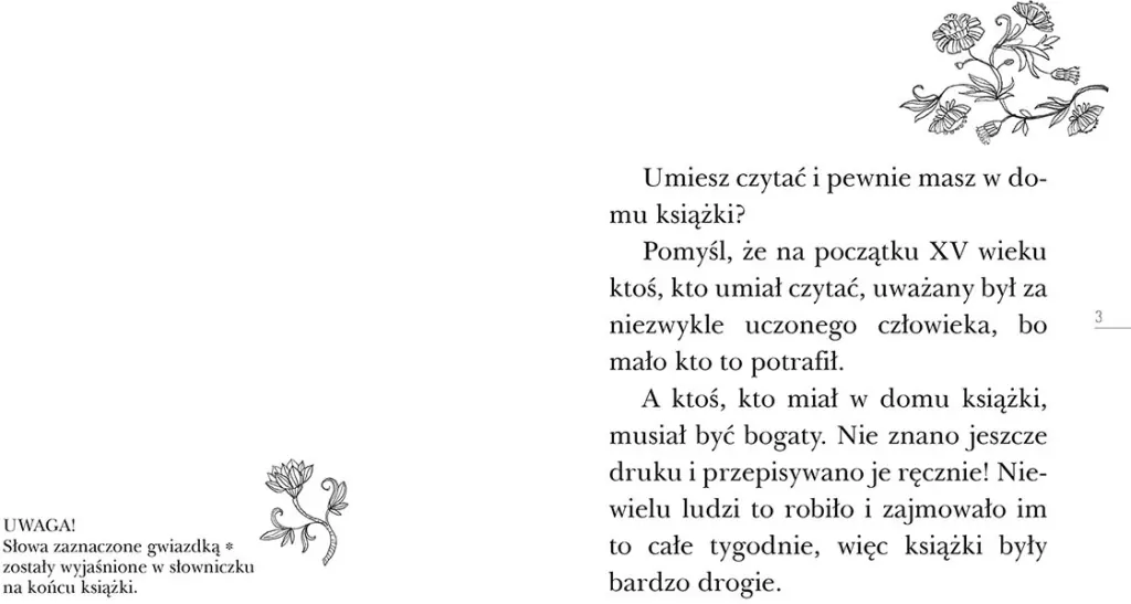 Tajemnica Nawojki. Czytam sobie. Poziom 3 - tantis.pl
