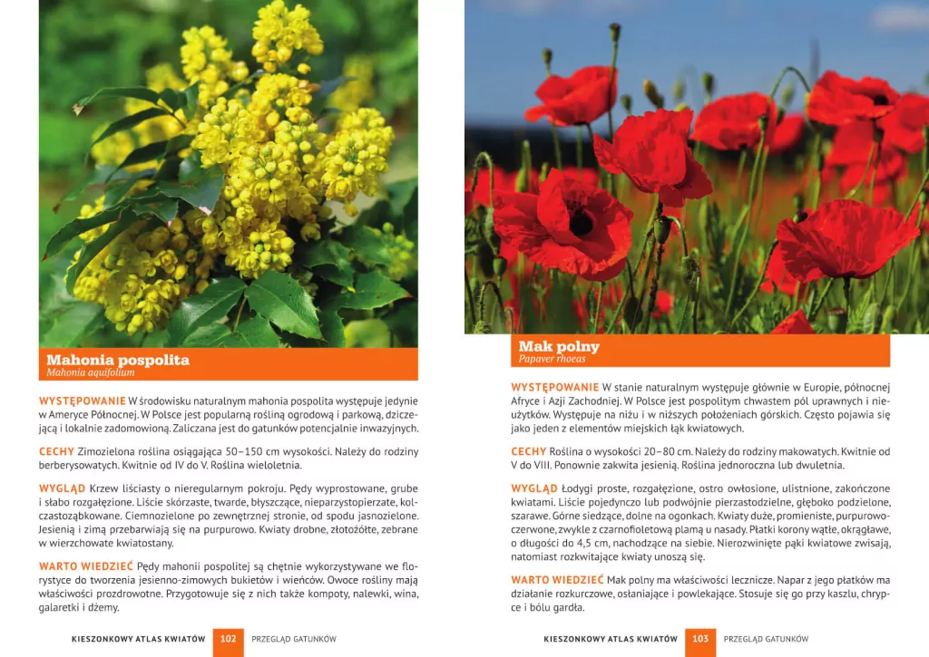 Kieszonkowy atlas kwiatów. 180 gatunków - tantis.pl