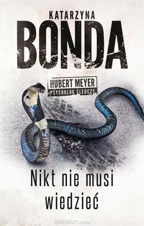 Nikt nie musi wiedzieć. Hubert Meyer. Tom 4 - tantis.pl