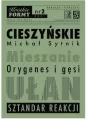 Krótkie Formy 2. Cieszyńskie - tantis.pl