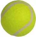 Piłka tenis ziemny 3szt - tantis.pl