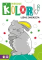 Leśne zwierzęta. Wesołe kolorki - tantis.pl