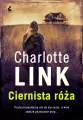 Ciernista róża - tantis.pl