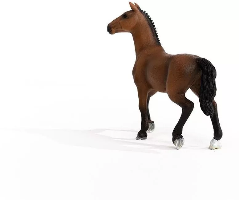 Klacz oldenburska 13945 - tantis.pl