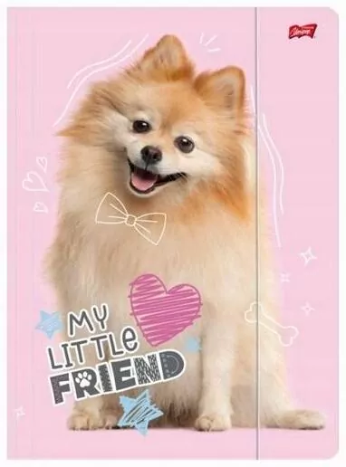 Teczka z gumką A4 My Little Friend Dog - tantis.pl