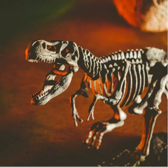 Smoki i dinozaury. Crazy Science - tantis.pl