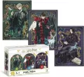 Puzzle 3w1 Harry Potter Wizard dynasty - tantis.pl