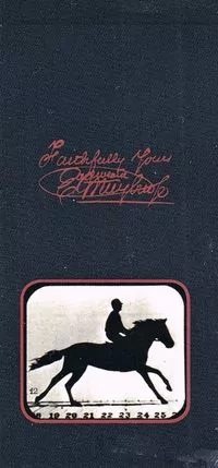 Kineograf Muybridge flipbook Koń Florence - tantis.pl