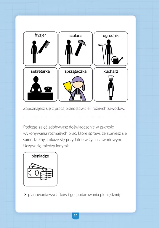 Praktyki wspomagane. Poradnik dla uczniów szkół przysposabiających do pracy - tantis.pl