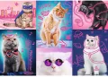 Puzzle 1000. Neon Color Line. Super cats - tantis.pl
