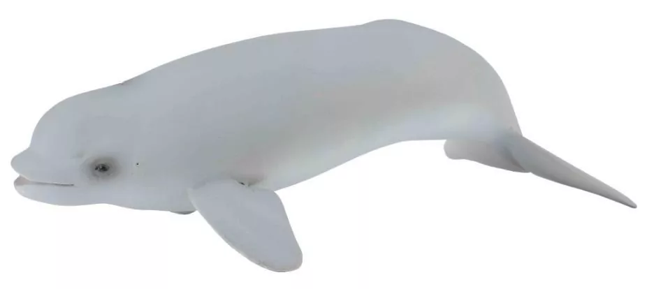 Collecta	. Wieloryb Beluga, młode - tantis.pl